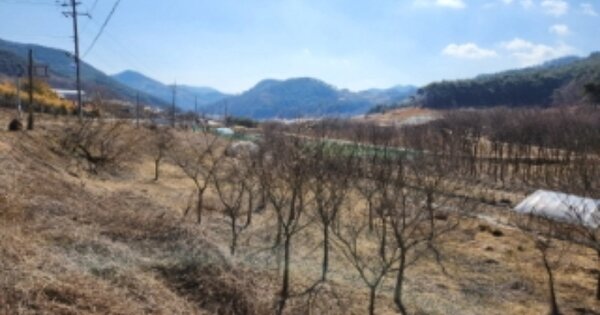 전라북도 정읍시 산내면 두월리 OOOO 답 경매 물건 이미지