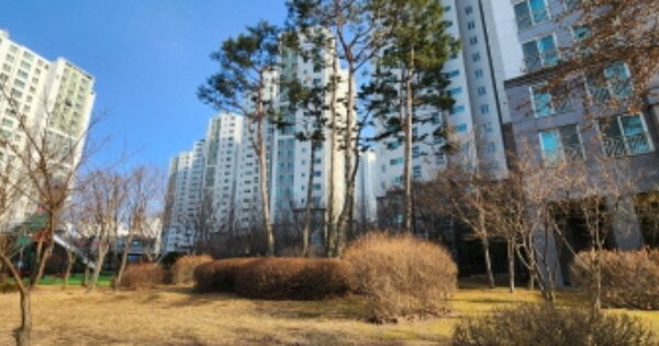 경기 김포시 장기동 1885-6, 501동 OOOOOO OOOOOOOOOOOOOO 아파트 경매 물건 이미지