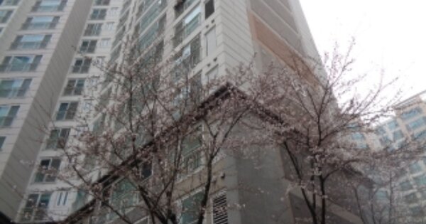 전북 전주시 완산구 삼천동1가 772, 103동 OOOOOO OOOOOOOOOOOOOO 아파트 경매 물건 이미지