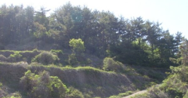 경상남도 남해군 남면 평산리 OOOOOOO 임야 경매 물건 이미지