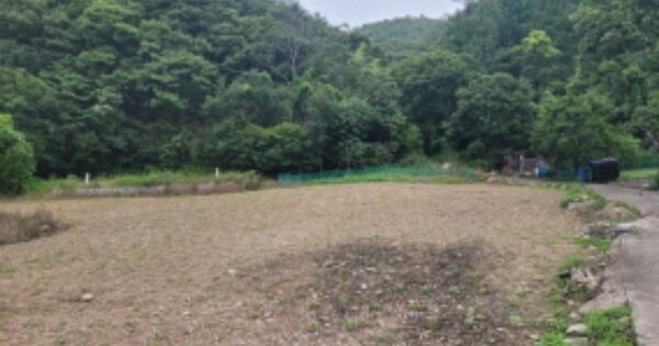 경상북도 포항시 북구 죽장면 침곡리 OOOOO 전 경매 물건 이미지