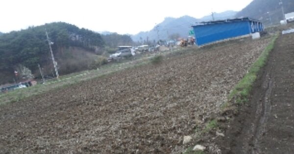 전라북도 진안군 진안읍 물곡리 OOOO 답 경매 물건 이미지