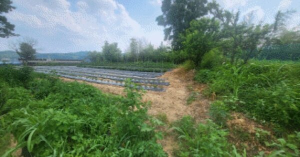 전라북도 임실군 신평면 대리 OOO 전 경매 물건 이미지