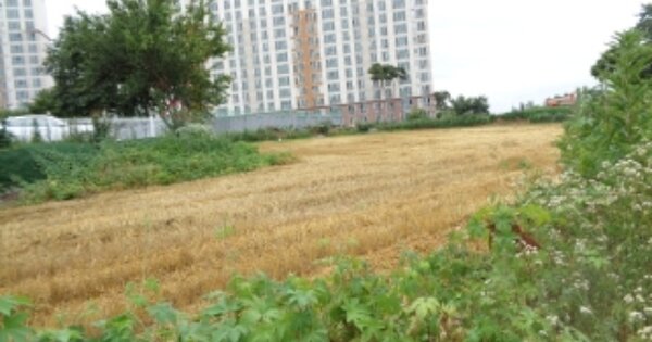 전라북도 김제시 요촌동 OOO 답 경매 물건 이미지