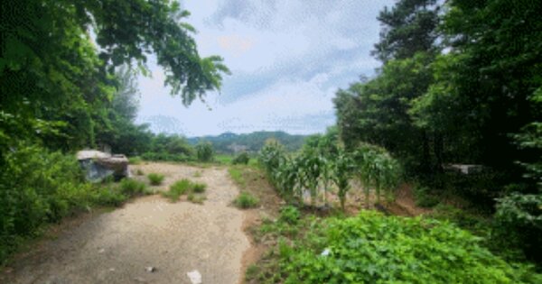 전라북도 임실군 임실읍 갈마리 OOO O OOO 임야 경매 물건 이미지
