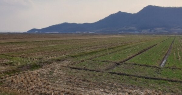 전라남도 보성군 득량면 해평리 OOOOOOO 답 경매 물건 이미지