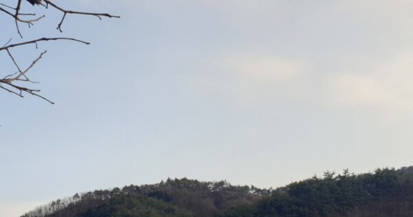 전라남도 순천시 송광면 우산리 OOOO 임야 경매 물건 이미지
