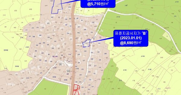 전라남도 신안군 하의면 오림리 OOOOO O OOO 답 경매 물건 이미지