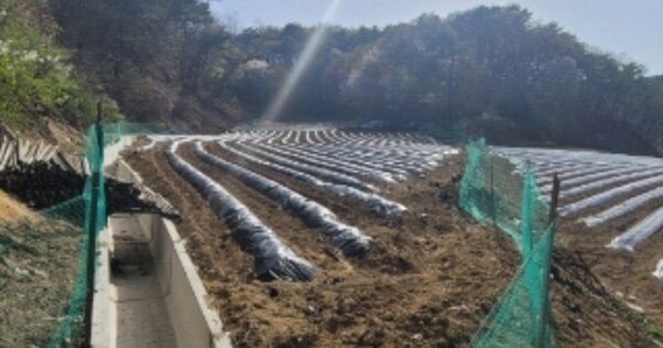 충청북도 괴산군 소수면 소암리 OOO 전 경매 물건 이미지
