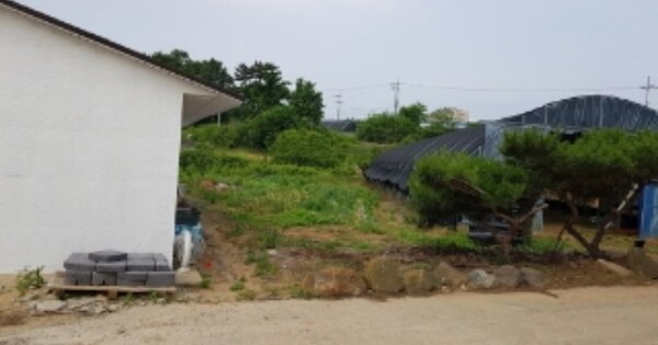충청남도 당진시 우강면 세류리 OOO 대지 경매 물건 이미지