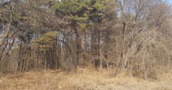 경기도 화성시 양감면 신왕리 OOOOOO 임야 경매 물건 이미지