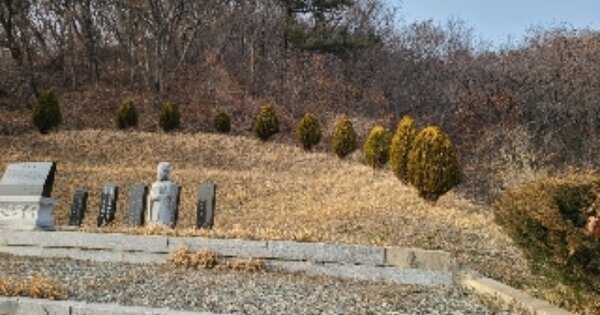 광주광역시 광산구 용곡동 OOOOO 임야 경매 물건 이미지