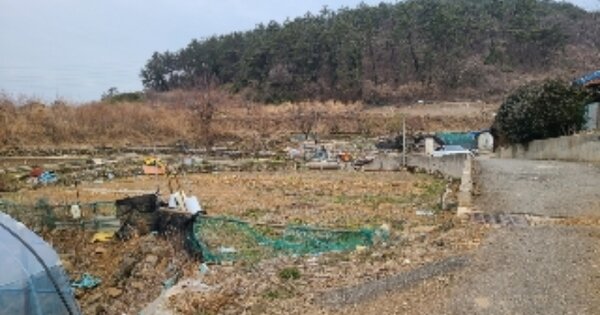 전라남도 영광군 홍농읍 상하리 OOO 대지 경매 물건 이미지
