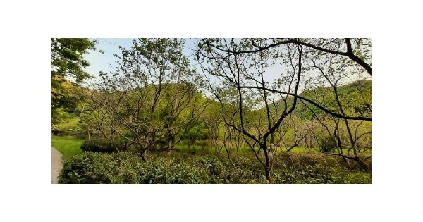전라남도 나주시 다도면 암정리 OOO 답 경매 물건 이미지