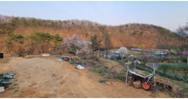 경기도 남양주시 조안면 조안리 OOOOOOO 임야 경매 물건 이미지