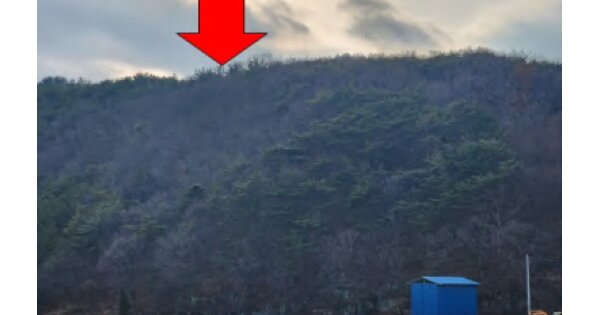 경상남도 의령군 화정면 가수리 OOOOOO O OOO 임야 경매 물건 이미지