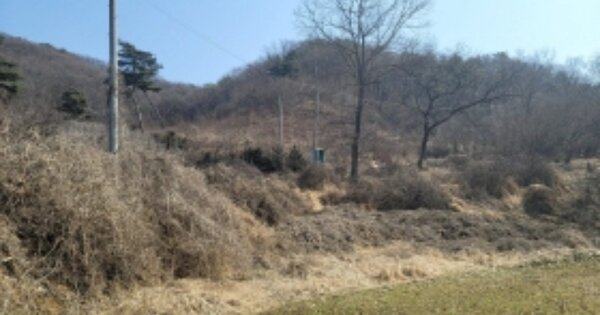 충청남도 천안시 동남구 병천면 관성리 OOOOO 전 경매 물건 이미지