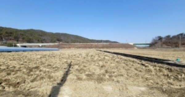 충청남도 천안시 동남구 병천면 용두리 OOOOO 답 경매 물건 이미지