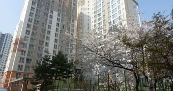 경기 안양시 동안구 호계동 1294, 103동 OOOOOOOO OOOOOOOOOOOOO 아파트 경매 물건 이미지
