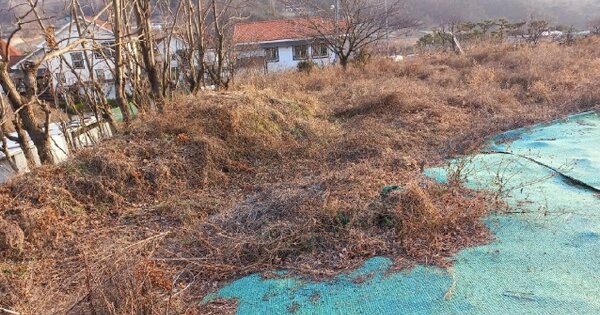 대구광역시 동구 중대동 OOO 답 경매 물건 이미지