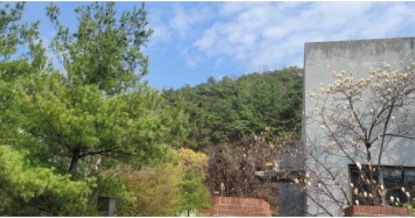 경상북도 칠곡군 왜관읍 낙산리 OOOO O OOO 임야 경매 물건 이미지