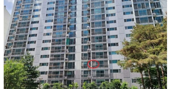 대구 동구 신암동 194-1, 104동 OOOOOO OOOOOOOOOOOOO O OOO 아파트 경매 물건 이미지