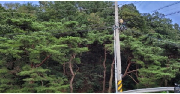 경상북도 칠곡군 북삼읍 어로리 OOO 임야 경매 물건 이미지