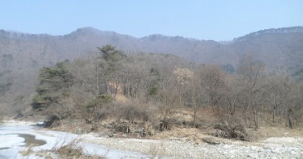 강원도 원주시 호저면 용곡리 OOO O OOO 임야 경매 물건 이미지