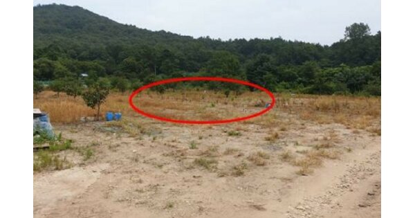 대전광역시 유성구 송정동 OOO 전 경매 물건 이미지