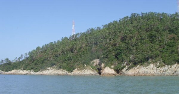 전라남도 진도군 조도면 모도리 OO 전 경매 물건 이미지