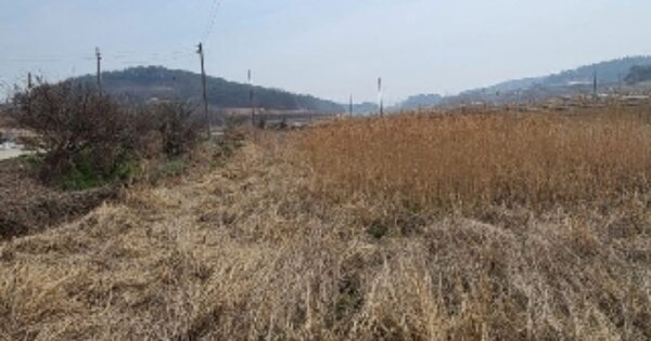 전라남도 영광군 군서면 남계리 OOOOO 답 경매 물건 이미지
