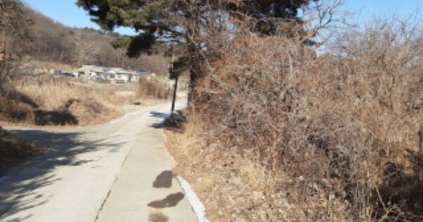 인천광역시 강화군 삼산면 석포리 OOOOO 임야 경매 물건 이미지