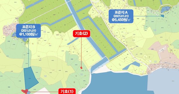 전라남도 신안군 비금면 수대리 OOO 답 경매 물건 이미지