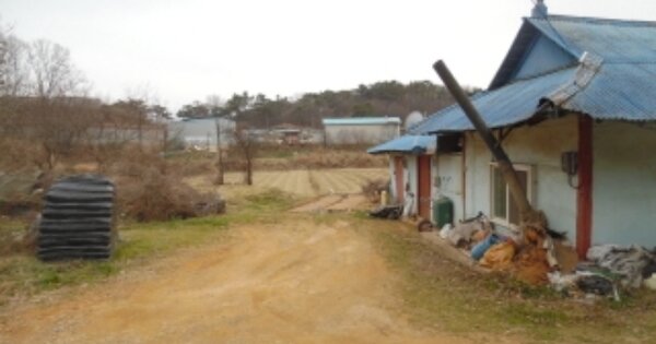 충청남도 당진시 송산면 무수리 OOOOO O OOO 전 경매 물건 이미지