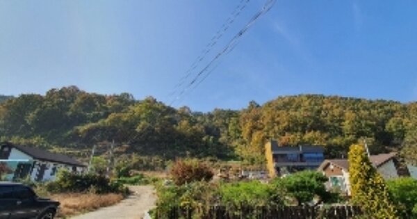 경상남도 함안군 산인면 부봉리 OOOOO 전 경매 물건 이미지