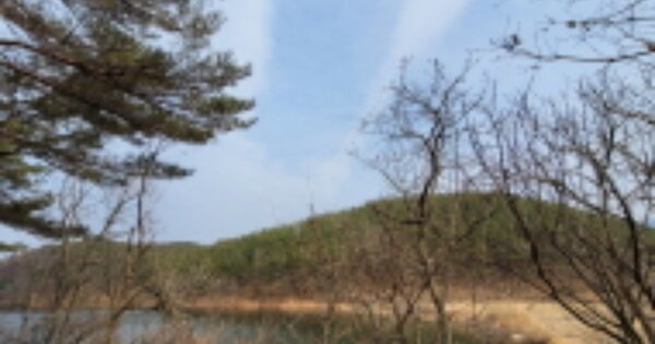 울산광역시 울주군 두동면 봉계리 OOOOOO 임야 경매 물건 이미지
