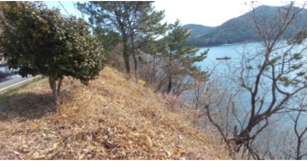 경상남도 거제시 거제면 법동리 OOO O OOO 임야 경매 물건 이미지