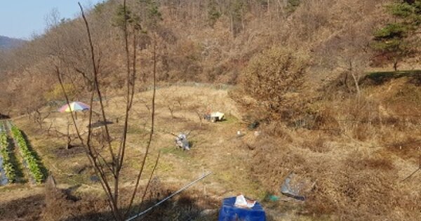 경상북도 의성군 안평면 괴산리 OOO O OOO 답 경매 물건 이미지