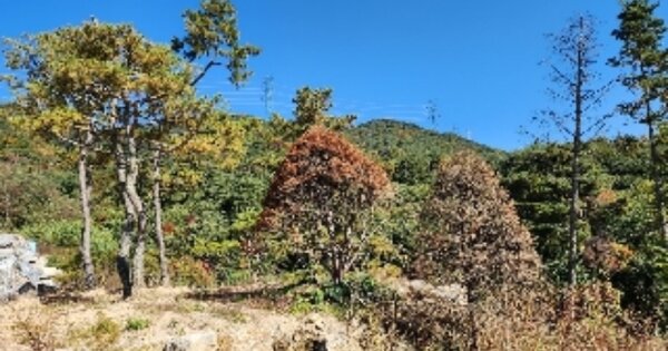 충청북도 제천시 봉양읍 미당리 OOOOO 단독주택 경매 물건 이미지