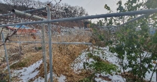 충청북도 옥천군 옥천읍 수북리 OOOO 전 경매 물건 이미지