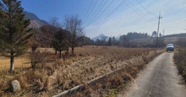 충청북도 제천시 백운면 방학리 OOO O OOO 전 경매 물건 이미지