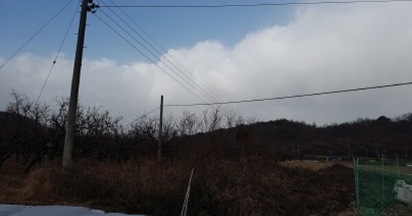 경상북도 군위군 의흥면 수서리 OOO 과수원 경매 물건 이미지