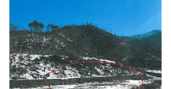 충청북도 단양군 적성면 상원곡리 OOO O OOO 임야 경매 물건 이미지