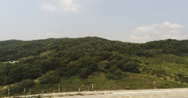 경상북도 김천시 어모면 남산리 OOOO 답 경매 물건 이미지