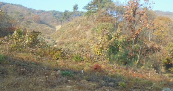 충청남도 부여군 은산면 장벌리 OOO 답 경매 물건 이미지