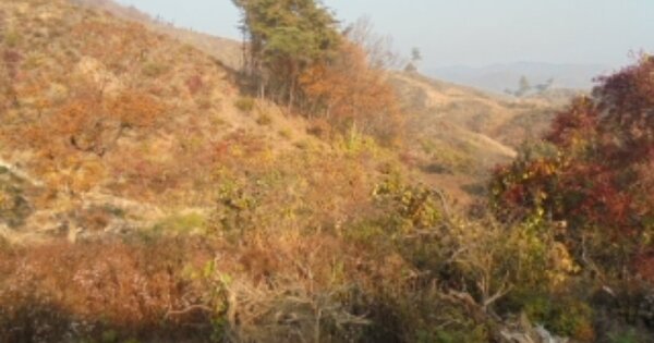 충청남도 부여군 은산면 장벌리 OOO 답 경매 물건 이미지