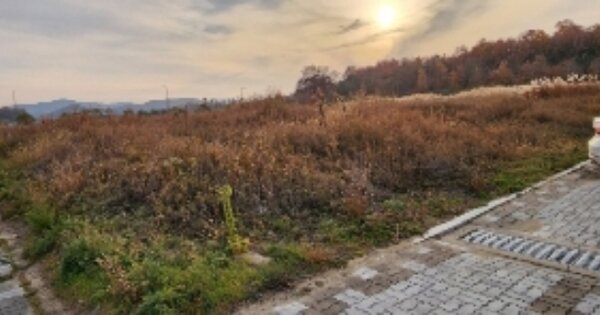 경상북도 안동시 풍천면 갈전리 OOOO 대지 경매 물건 이미지