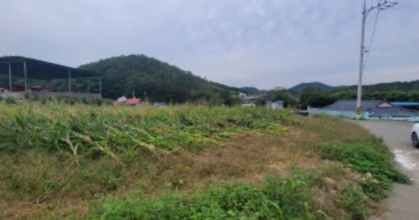 경상북도 포항시 남구 장기면 창지리 OOO O OOO 전 경매 물건 이미지