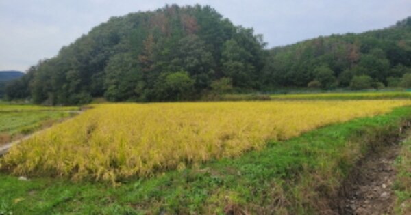 경상북도 포항시 남구 장기면 신계리 OOO 전 경매 물건 이미지