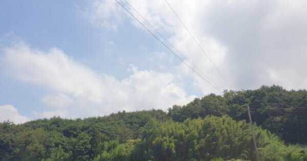 전라남도 고흥군 도덕면 용동리 OOOO 임야 경매 물건 이미지